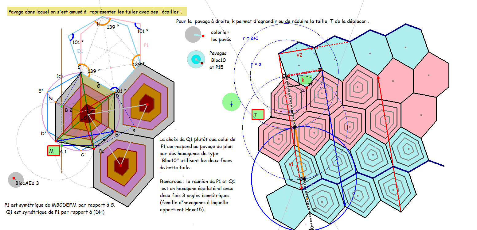 Hexa10versHexaRegPlusHomb