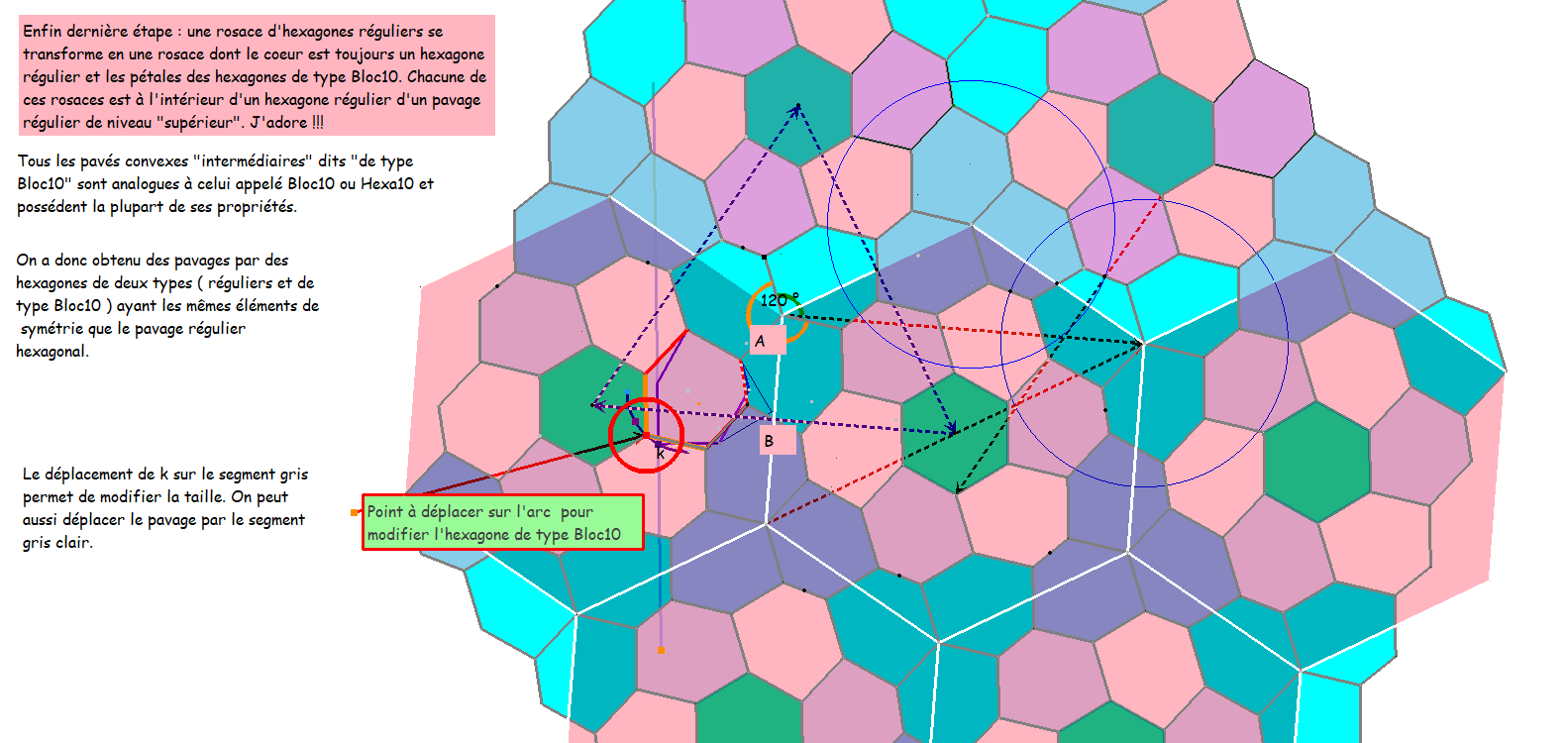 Hexas1015RegRosaceNewHexa