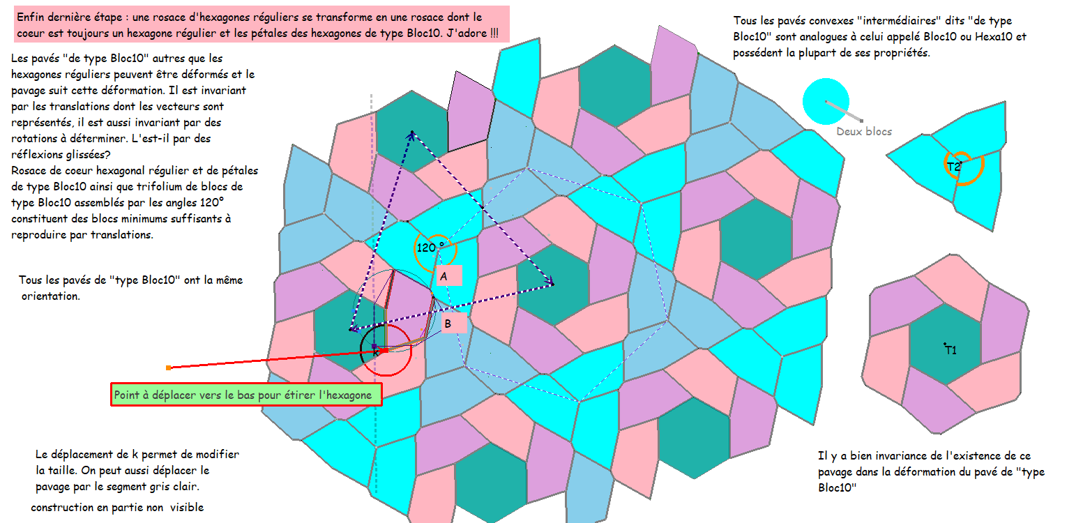RosacesHexaBloc10HexaReg