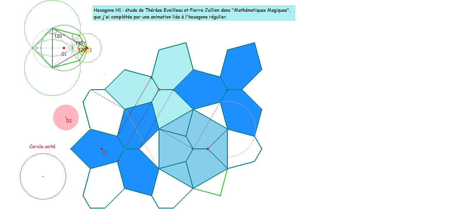 hexaFleur2021